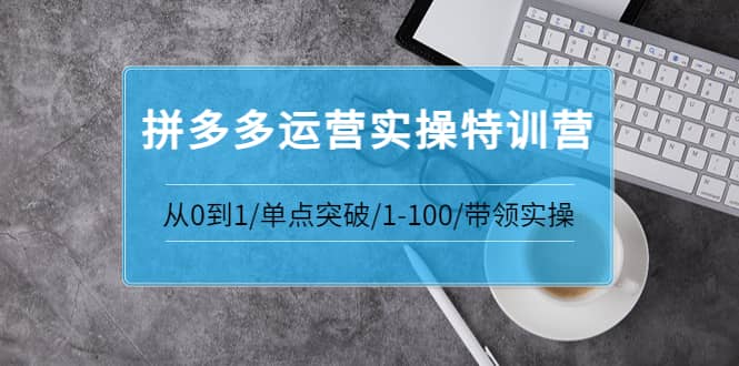 拼多多运营实操特训营：从0到1/单点突破/1-100/带领实操 价值2980元-小白项目网