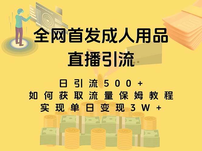 最新全网独创首发,成人用品直播引流获客暴力玩法,单日变现3w保姆级教程-小白项目网