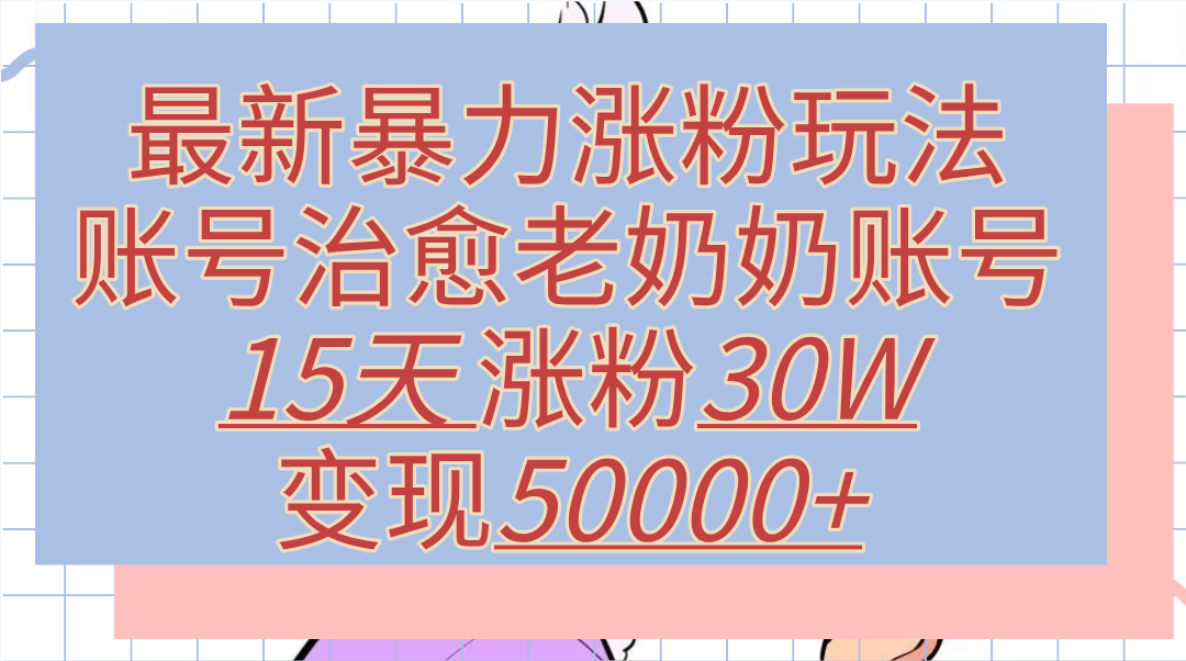 最新暴力涨粉玩法，治愈老奶奶账号，15天涨粉30W，变现50000+【揭秘】-小白项目网