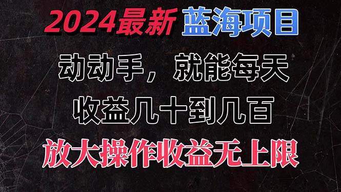 有手就行的2024全新蓝海项目，每天1小时收益几十到几百，可放大操作收...-小白项目网