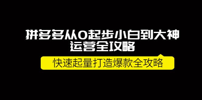 拼多多从0起步小白到大神运营全攻略-小白项目网