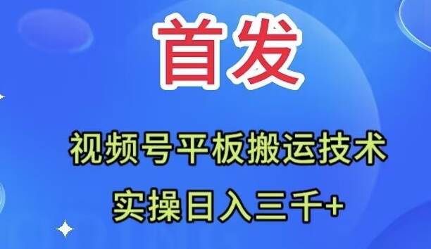 全网首发：视频号平板搬运技术，实操日入三千＋-小白项目网