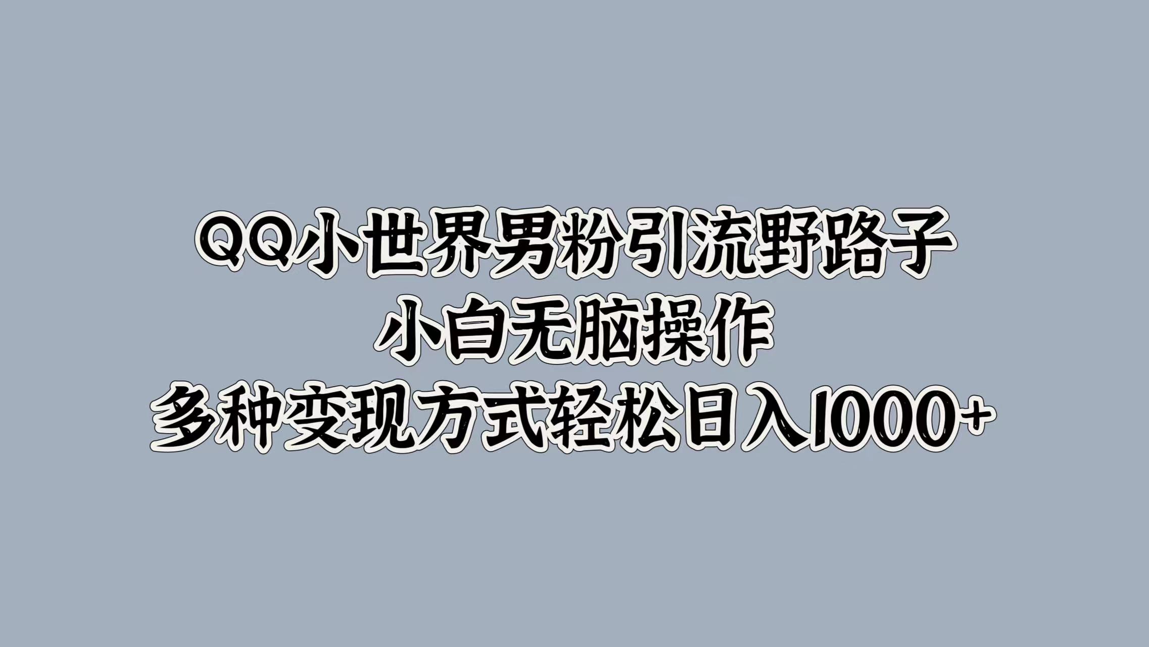 QQ小世界男粉引流野路子，小白无脑操作，多种变现方式轻松日入1000+-小白项目网
