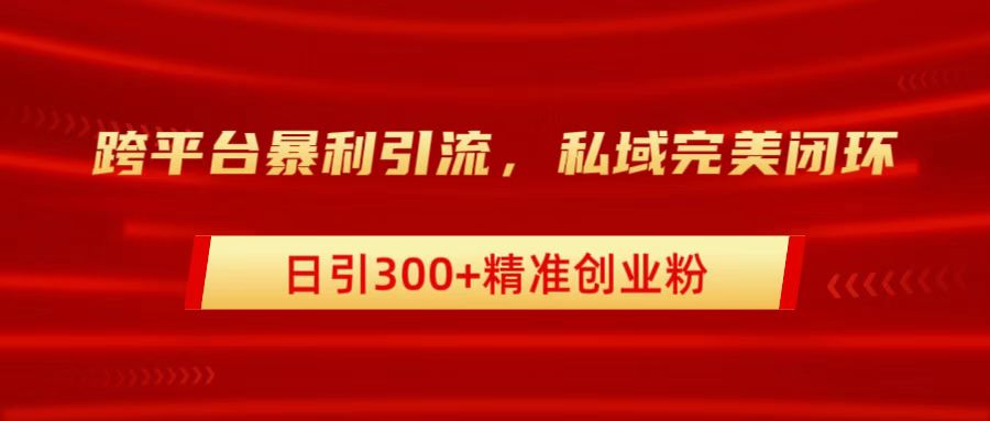 跨平台暴力引流，私域完美闭环，日引300+精准创业粉-小白项目网