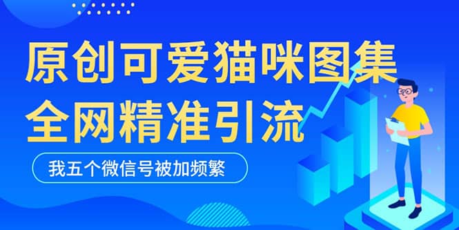 黑科技纯原创可爱猫咪图片，全网精准引流，实操5个VX号被加频繁-小白项目网