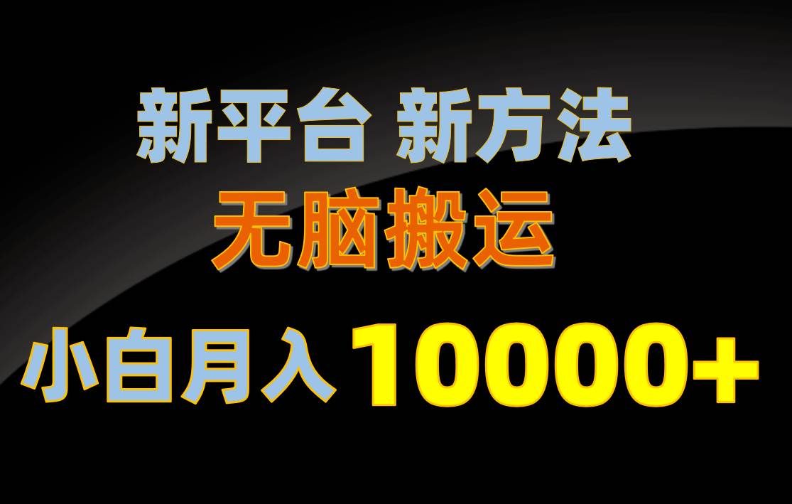 新平台新方法，无脑搬运，月赚10000+，小白轻松上手不动脑-小白项目网