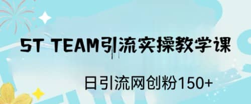 ST TEAM引流实操课，日引流网创粉100+-小白项目网