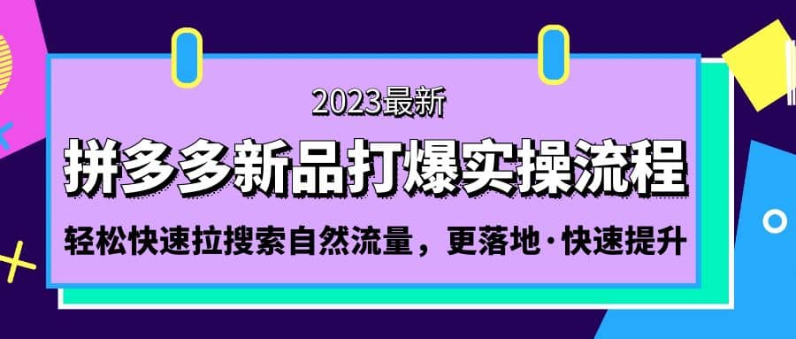 拼多多-新品打爆实操流程：轻松快速拉搜索自然流量，更落地·快速提升-小白项目网