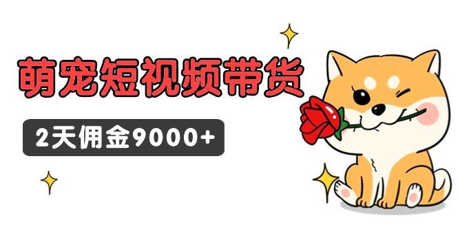 东哲日记·萌宠短视频带货，2天佣金9000+-小白项目网