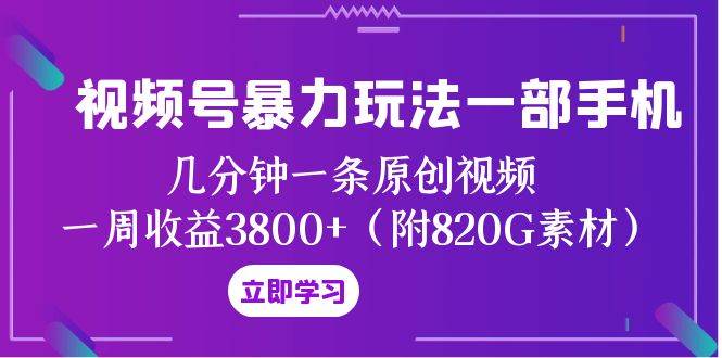 视频号暴力玩法一部手机 几分钟一条原创视频 一周收益3800+（附820G素材）-小白项目网