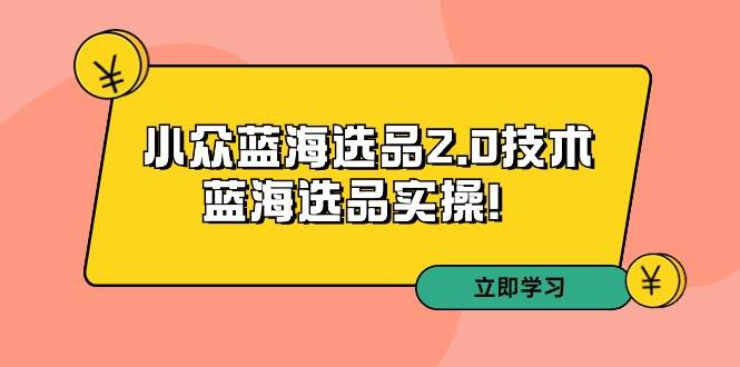 拼多多培训第33期：小众蓝海选品2.0技术-蓝海选品实操！-小白项目网