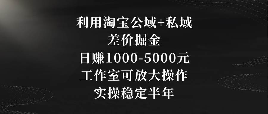 利用淘宝公域+私域差价掘金,日赚1000-5000元,工作室可放大操作,实操…-小白项目网