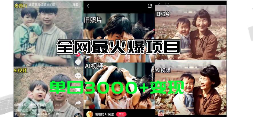 全网爆火的AI让老照片动起来教程，蹭热点日赚3000+，内含免费工具一键...-小白项目网