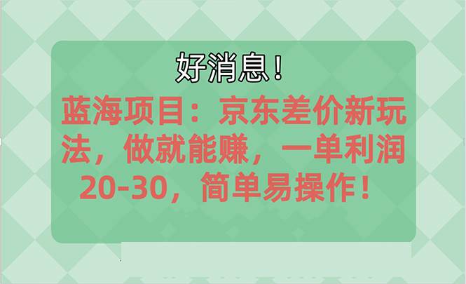 越早知道越能赚到钱的蓝海项目：京东大平台操作，一单利润20-30，简单...-小白项目网