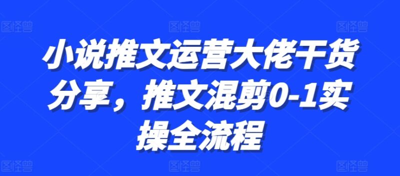 小说推文运营大佬干货分享，推文混剪0-1实操全流程-小白项目网