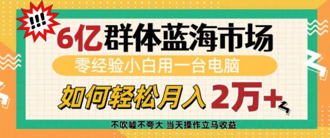 6亿群体蓝海市场，零经验小白用一台电脑，如何轻松月入过w【揭秘】-小白项目网