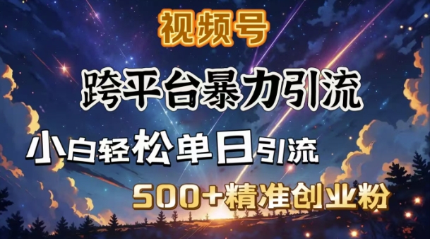 跨平台暴力引流，私域完美闭环，日引500+精准创业粉-小白项目网