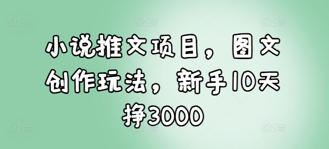 小说推文项目，图文创作玩法，新手10天挣3000-小白项目网